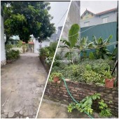 MUA ĐẤT TẶNG CHUỐI - ĐÊ LONG BIÊN